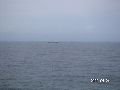 s_PICT0171s.png